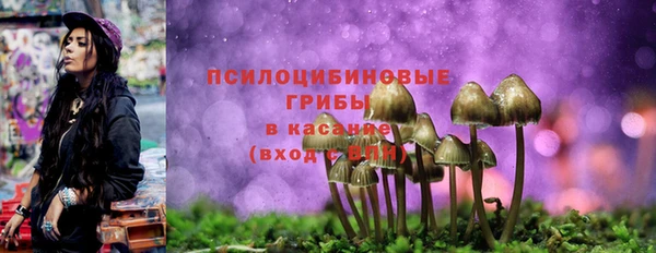 мяу мяу мука Верея