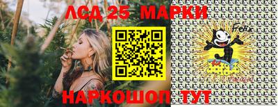 гидропоника Гудермес