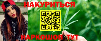 гидропоника Гудермес