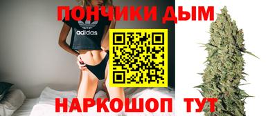 гидропоника Гудермес
