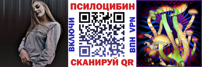 Псилоцибиновые грибы Psilocybe  наркошоп  Мончегорск 