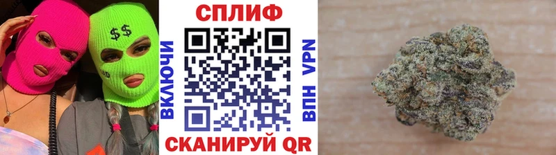 Каннабис сатива  Мончегорск 